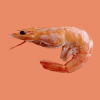 shrimp
